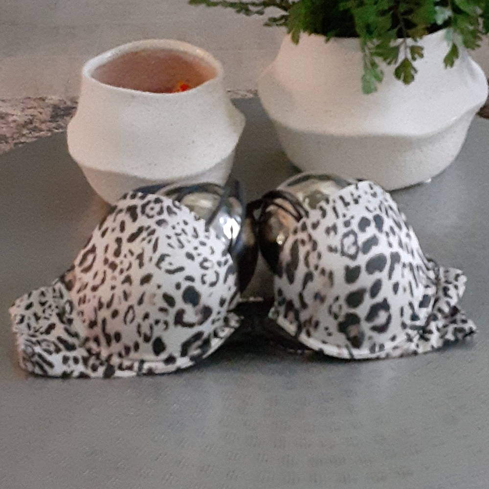 NWOT Victoria's Secret push up demi bra